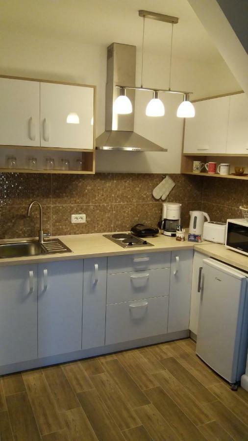 Enjoy Apartment 蒂米什瓦拉 外观 照片